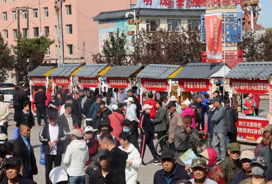 新时代文明实践大集全景.jpg 新时代文明实践大集全景.jpg