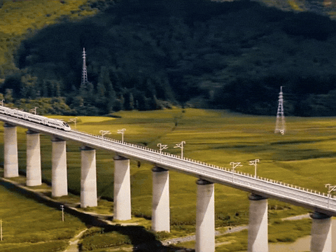 1000114956.gif 1000114956.gif