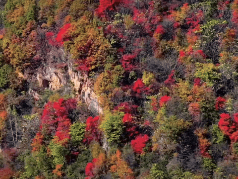 1000114964.gif 1000114964.gif