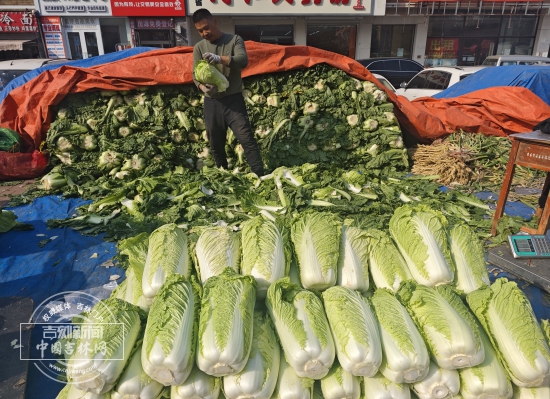 微信图片_20261010155320_79_2.jpg 微信图片_20261010155320_79_2.jpg