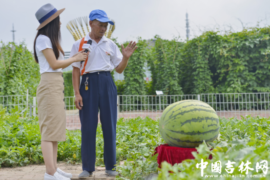 闫师傅讲述选瓜妙招