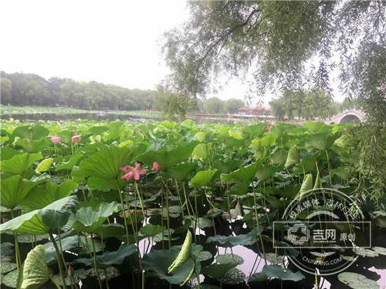 图片7.jpg 图片7.jpg