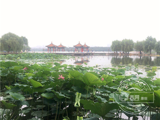 图片8.jpg 图片8.jpg