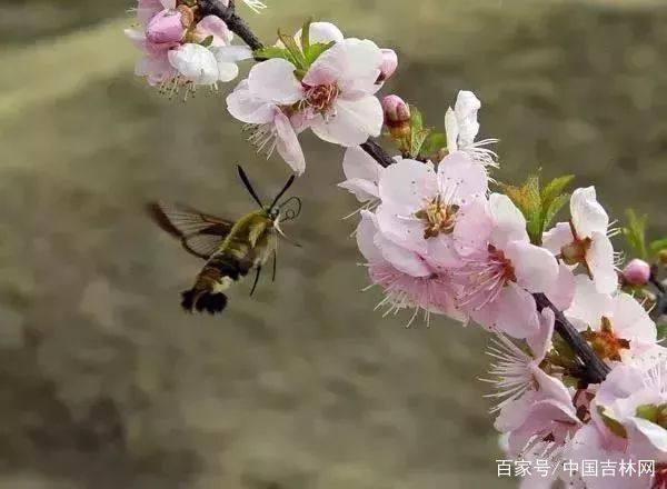 HIE8Z1`SQV{A2E%Y3{7Y$RW.png HIE8Z1`SQV{A2E%Y3{7Y$RW.png