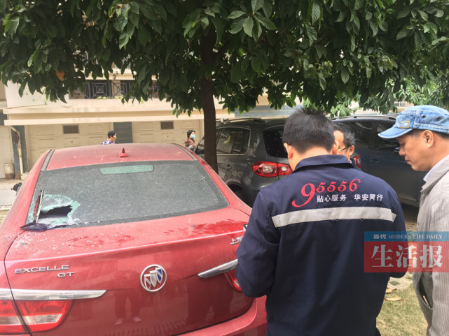 广西大学东校园一男子连砸7辆车 边砸边喊想坐牢