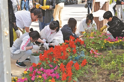 联营供水公司的职工在小区栽种花苗。.jpg 联营供水公司的职工在小区栽种花苗。.jpg