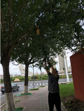 十三局排查2.png 十三局排查2.png