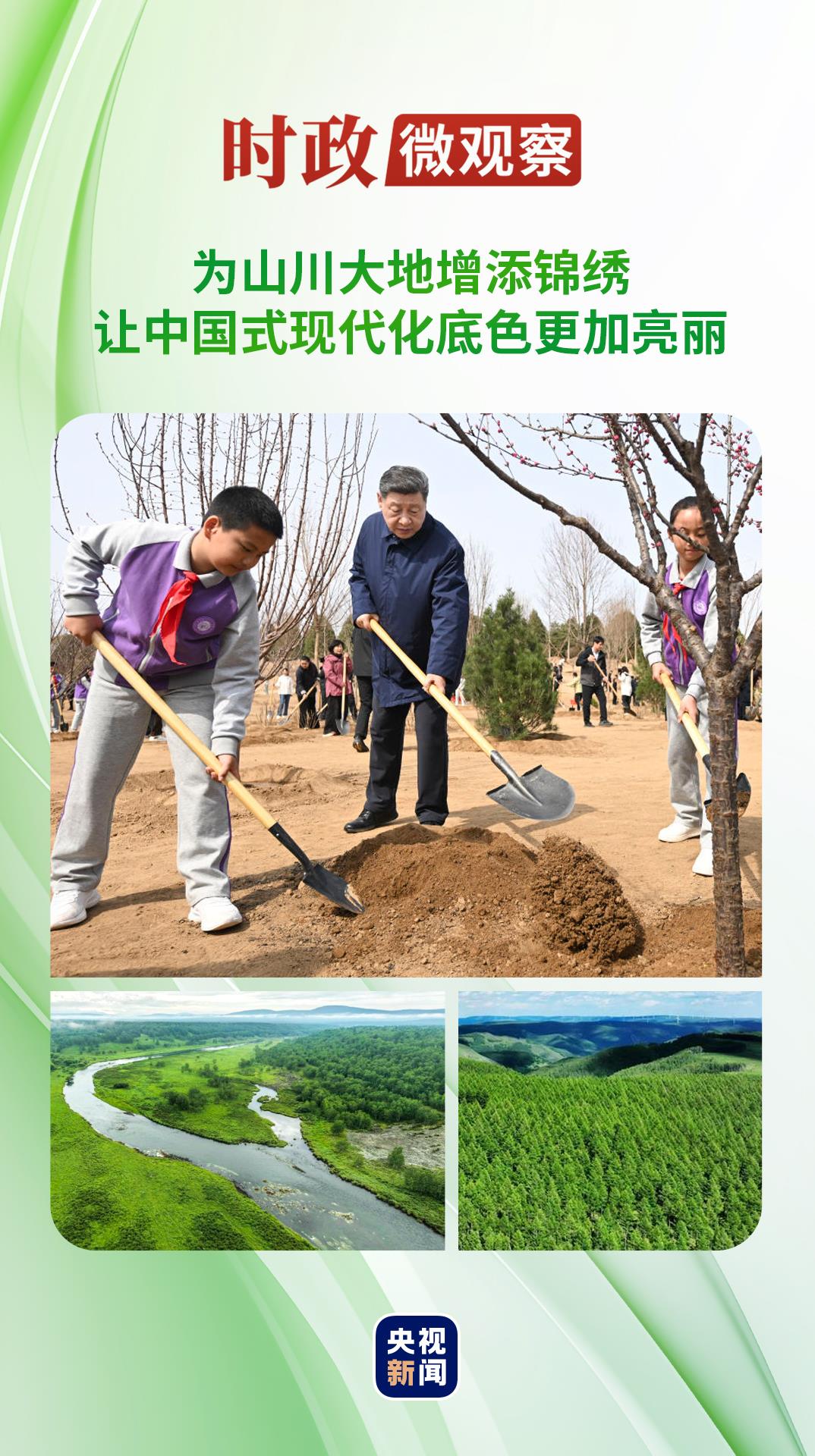 20260331135332993.jpg 20260331135332993.jpg