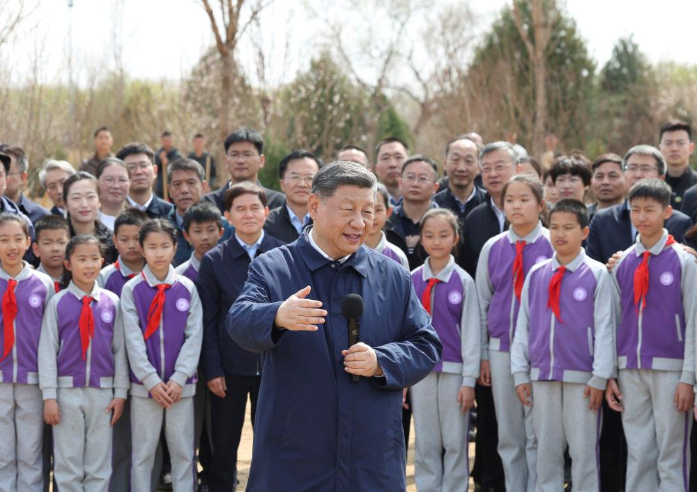 20260331135333031.jpg 20260331135333031.jpg