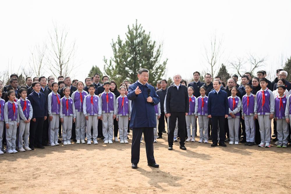 20260331135333185.jpg 20260331135333185.jpg