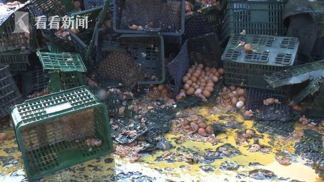 点击图片翻到下一页>> 17吨鸡蛋翻车 满地流淌着蛋液多么痛的领悟蓝瘦香菇(图)