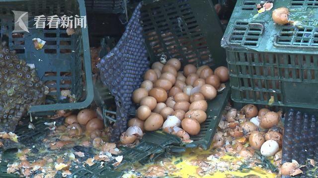 点击图片翻到下一页>> 17吨鸡蛋翻车 满地流淌着蛋液多么痛的领悟蓝瘦香菇(图)