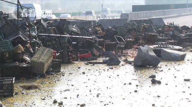 点击图片翻到下一页>> 17吨鸡蛋翻车 满地流淌着蛋液多么痛的领悟蓝瘦香菇(图)