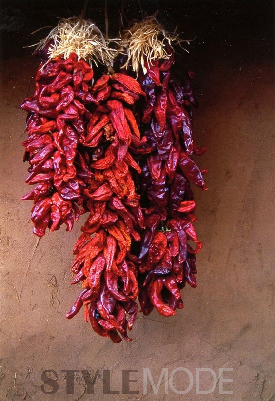 炒菜时多加一物 让你多活20年不是梦！