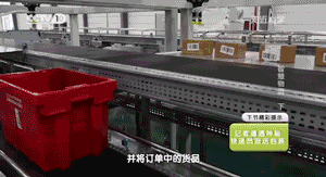 央视曝光马云家的仓库，终于找到其他快递倒闭的原因了