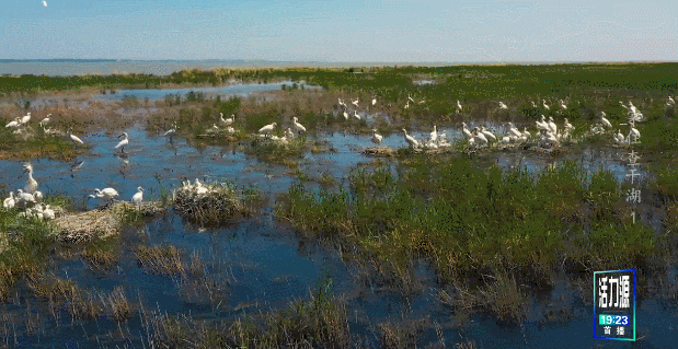 1a77fbcf39b521bfdb90d69cdff1e96f_640_wx_fmt=gif&tp=webp&wxfrom=5&wx_lazy=1.gif