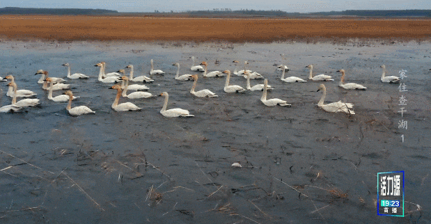 77ce2f6bbac79813f5da55d5ceaee70d_640_wx_fmt=gif&tp=webp&wxfrom=5&wx_lazy=1.gif