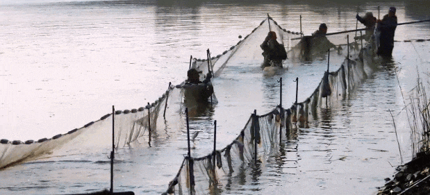 f4b7995a61b4a21e77bef6c6907cc098_640_wx_fmt=gif&tp=webp&wxfrom=5&wx_lazy=1.gif