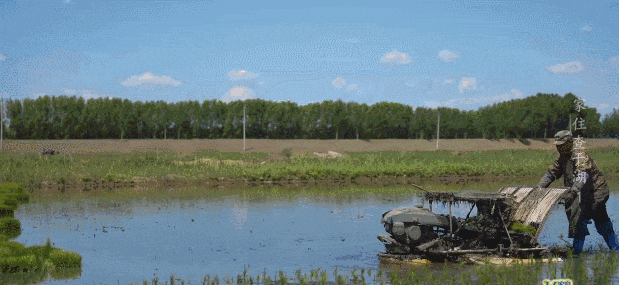 10b95145a469d42e743a41b78ebbad52_640_wx_fmt=gif&tp=webp&wxfrom=5&wx_lazy=1.gif