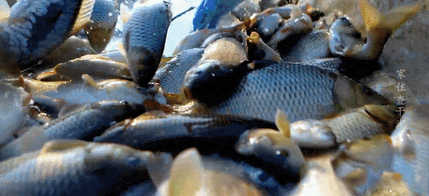 9bab38bfbd6466a3915b180e343812e8_640_wx_fmt=gif&tp=webp&wxfrom=5&wx_lazy=1.gif